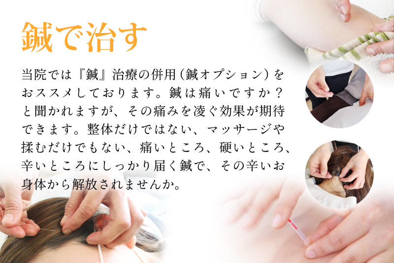 鍼の写真2